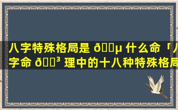 八字特殊格局是 🐵 什么命「八字命 🌳 理中的十八种特殊格局是什么」